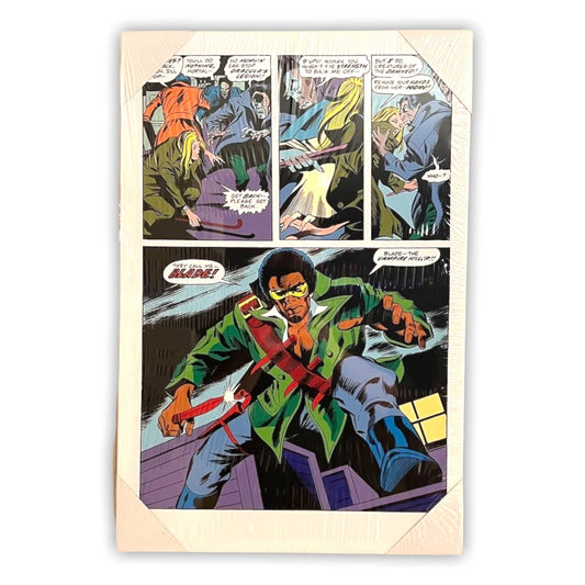 16” x 24" BLADE Canvas Print Wall Art