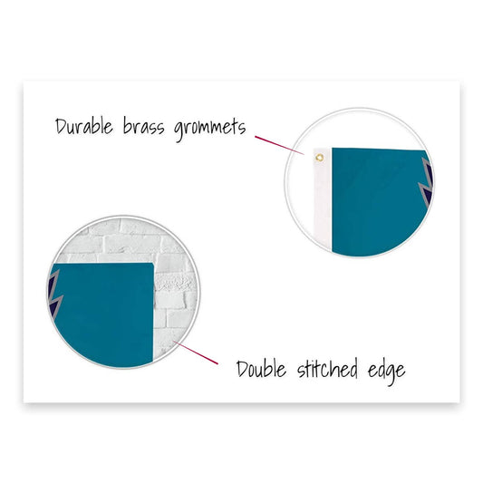 Charlotte Hornets 3' x 5' NBA Flag