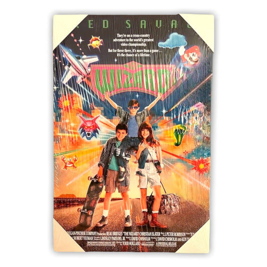 16” x 24" WIZARD Canvas Print Wall Art