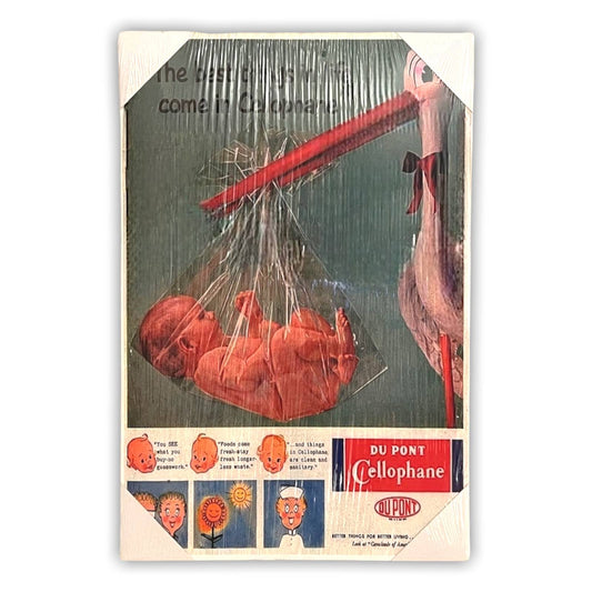 16” x 24" DUPONT Canvas Print Wall Art