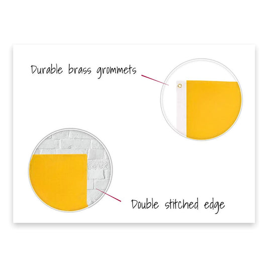 Pittsburgh Pirates 3' x 5' MLB Flag