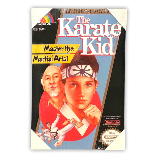 16” x 24" KARATE KID Canvas Print Wall Art