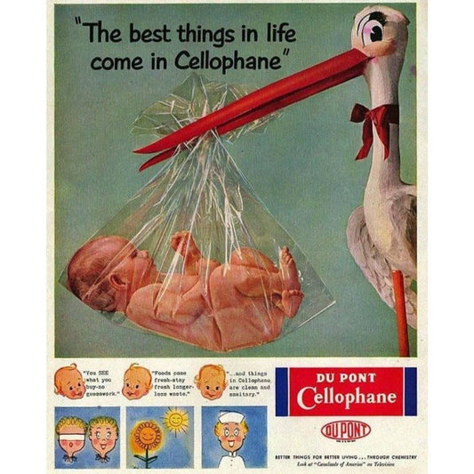 16” x 24" DUPONT Canvas Print Wall Art