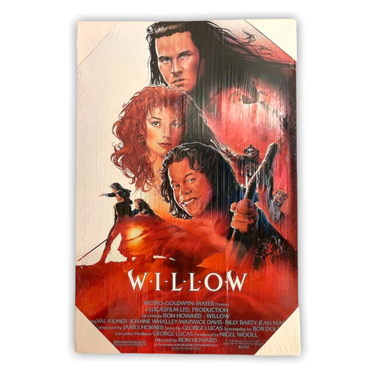 16” x 24" WILLOW Canvas Print Wall Art