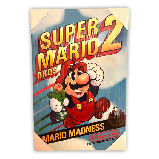 16” x 24" SUPER MARIO BROS 2 Canvas Print Wall Art