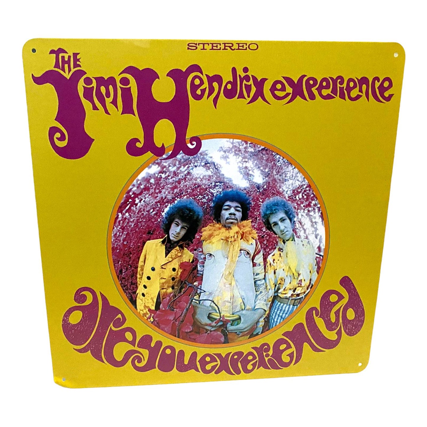 Jimi Hendrix Are You Experienced Album Cover Metal Print Tin Sign 12"x 12"