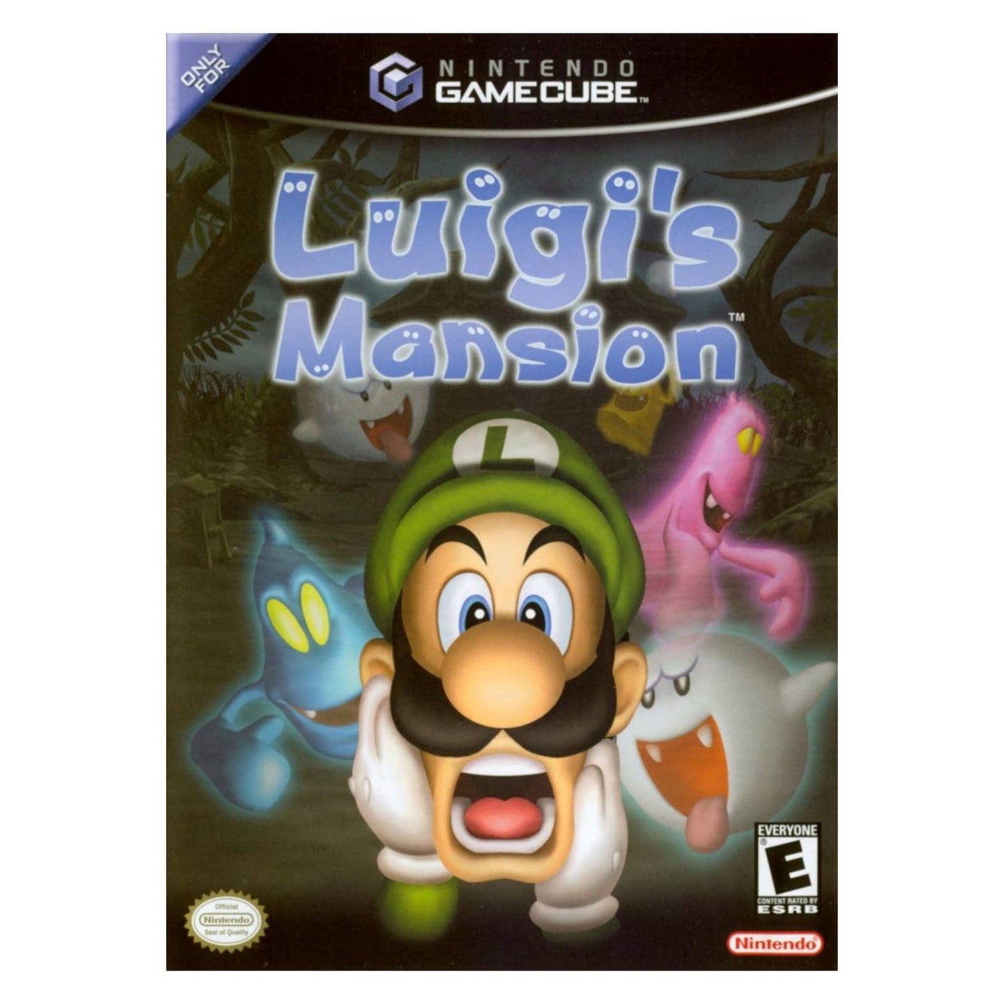 Luigi's Mansion Video Game Poster Print Wall Art 16"x24"