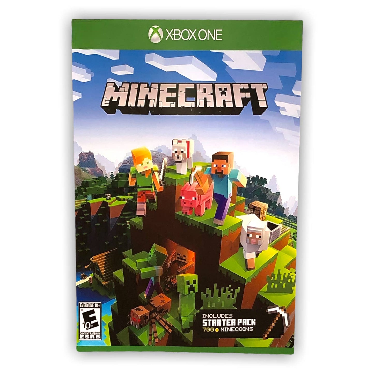 Minecraft Video Game Poster Print Wall Art 16"x24"