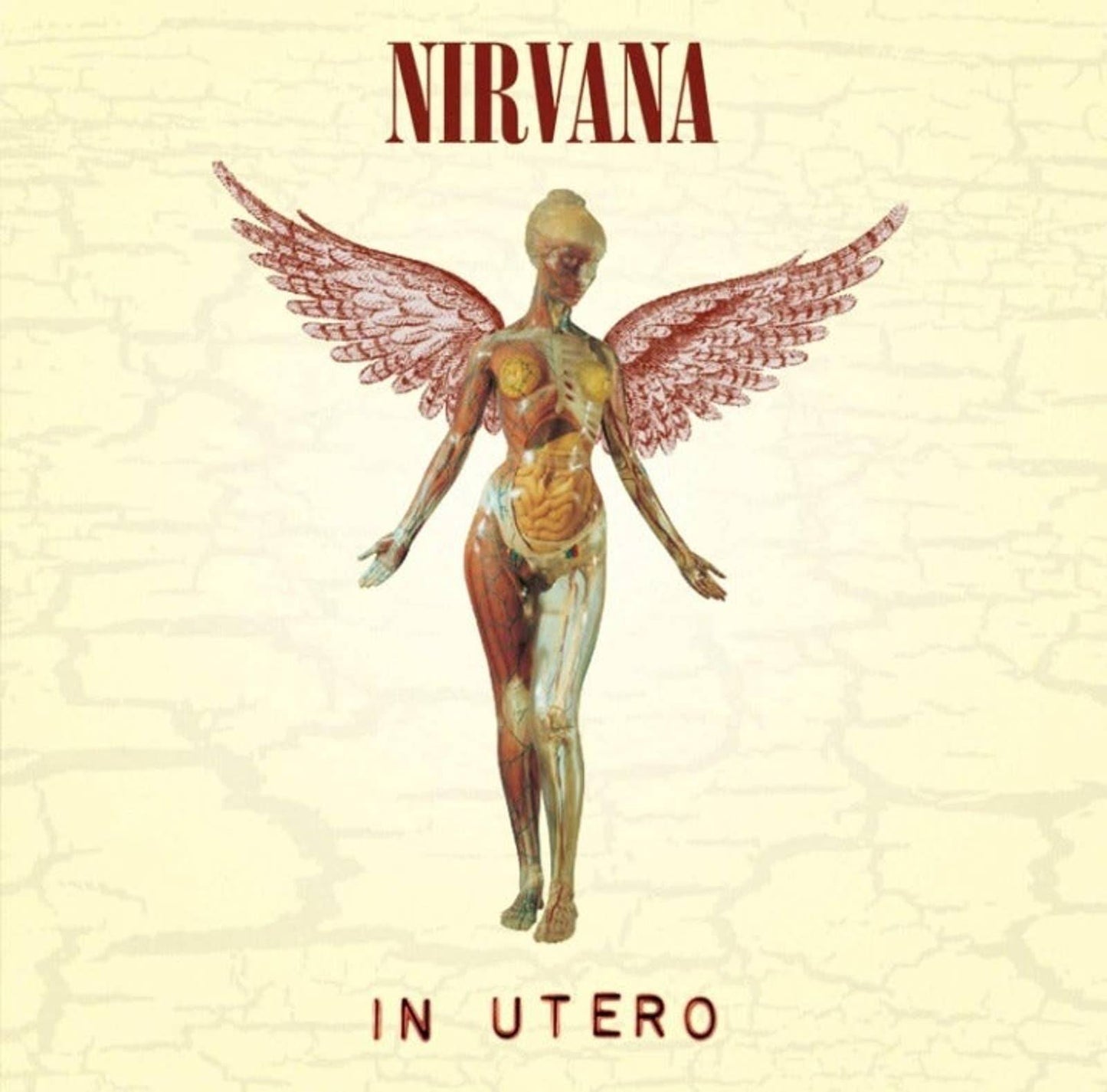 48" x 48" Nirvana 'Utero' Tapestry Wall Hanging Décor