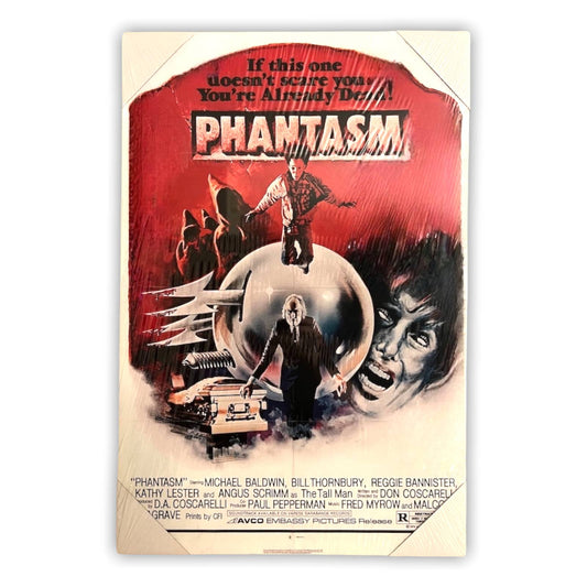 16” x 24" PHANTASM Canvas Print Wall Art